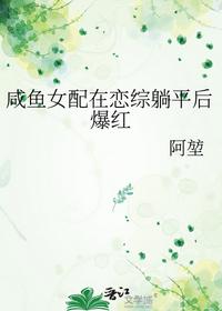 沐禾婉蒋灏免费阅读完整版